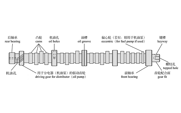 柴油機(jī)凸輪軸結(jié)構(gòu)圖.png